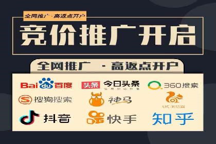 竞价广告案例分享：XX电商平台的成功秘诀